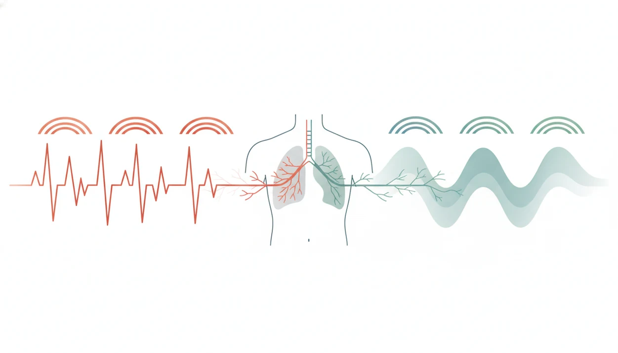 An abstract diagram shows jagged stress lines shifting into smooth breath waves around calm lungs.